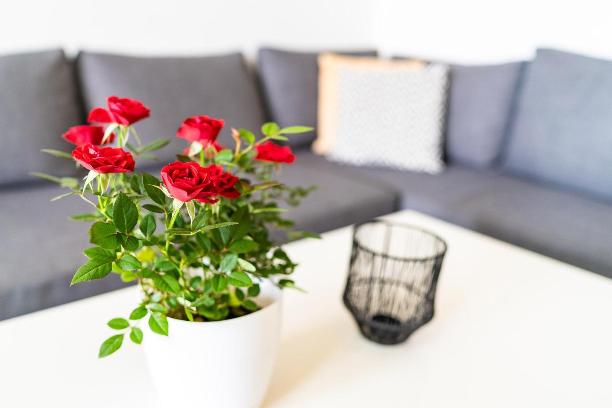 Sweet Rooms Bubesheim Экстерьер фото